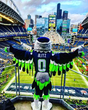 Image post by @blitztheseahawk on Instagram