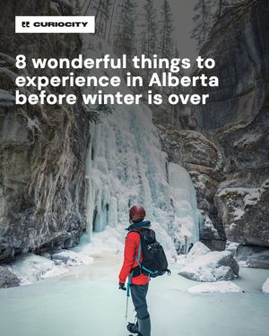 Image post by @curiocitycalgary on Instagram