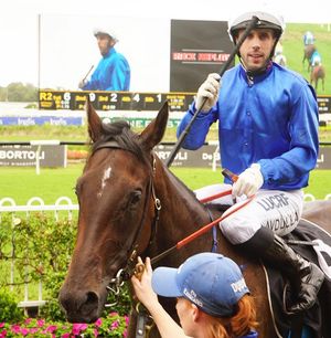 Image post by @australianturfclub on Instagram