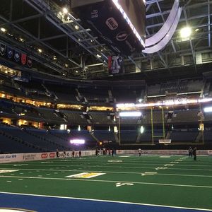 Image post by @jaxsharks on Instagram