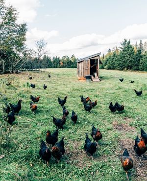 Image post by @themainemag on Instagram