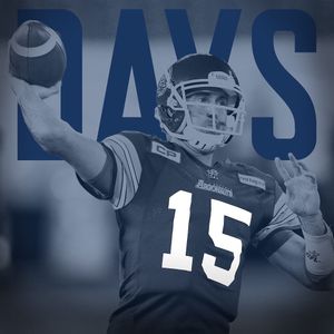 Image post by @torontoargos on Instagram