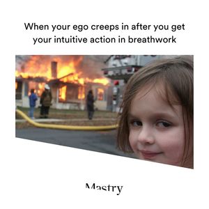 Image post by @mastryexperience on Instagram