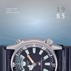 Image post by @citizenwatchus on Instagram