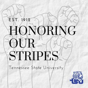 Image post by @tsutigersfb on Instagram