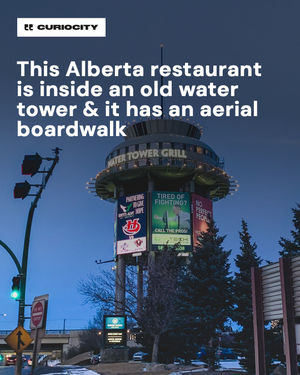 Image post by @curiocitycalgary on Instagram