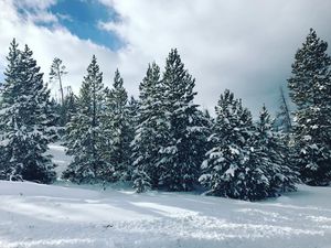 Image post by @granbyranch on Instagram