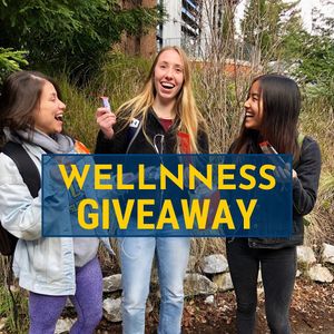 Image post by @ucsc_athrec on Instagram