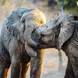 Image post by @discovery on Instagram