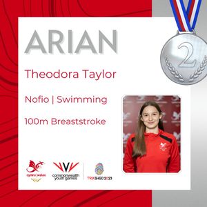 Image post by @team_wales on Instagram