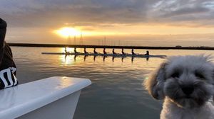 Image post by @stanfordwcrew on Instagram