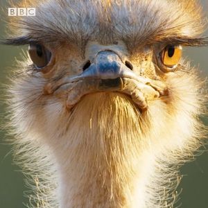 Image post by @discovery on Instagram