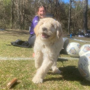Image post by @lipscombwsoc on Instagram