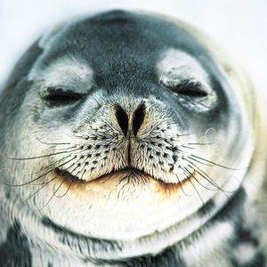 Image post by @discovery on Instagram