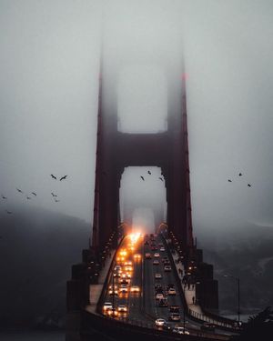 Image post by @fubiz on Instagram