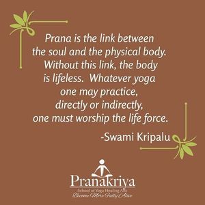 Image post by @pranakriya on Instagram