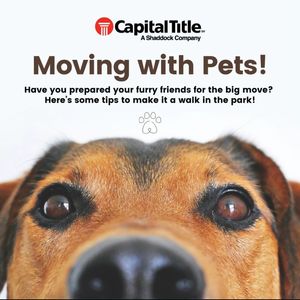 Image post by @capitaltitlelakeway on Instagram