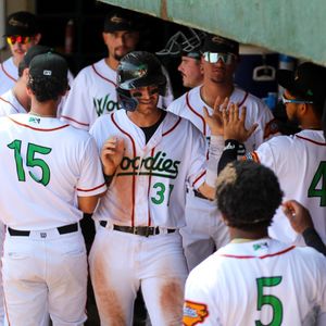 Image post by @gowoodducks on Instagram