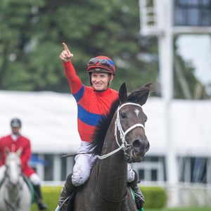 Image post by @australianturfclub on Instagram
