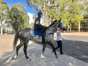 Image post by @australianturfclub on Instagram