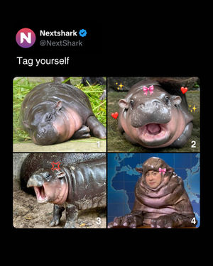 Image post by @nextshark on Instagram