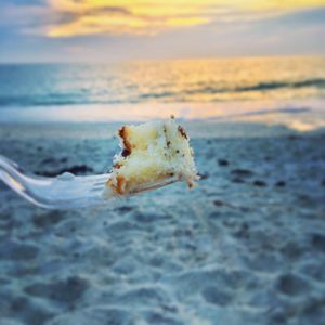 Image post by @visitsarasotacounty on Instagram
