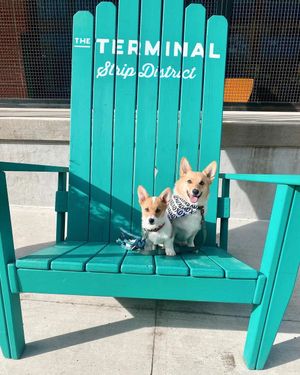 Image post by @sdterminal on Instagram