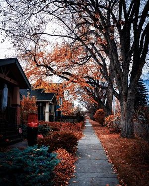 Image post by @cityofcalgary on Instagram