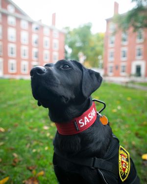 Image post by @harvard on Instagram