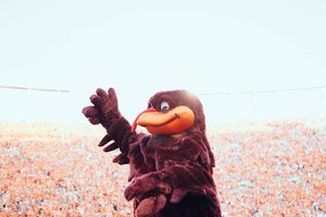 Image post by @virginia.tech on Instagram