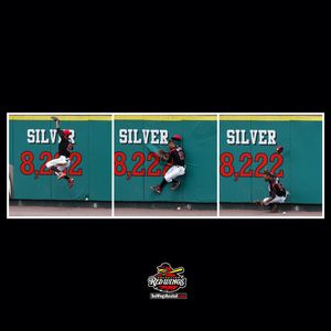 Image post by @rocredwings on Instagram