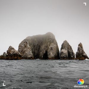 Image post by @discovery on Instagram