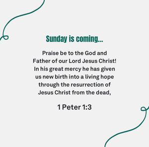 Image post by @familylifeinsta on Instagram