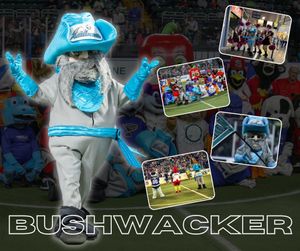 Image post by @stlouisambush on Instagram