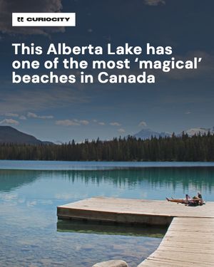Image post by @curiocitycalgary on Instagram