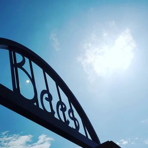 Image post by @burlington_bees on Instagram