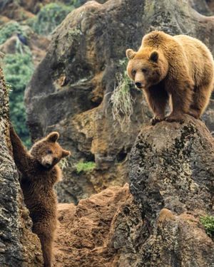 Image post by @discovery on Instagram