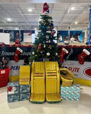 Image post by @truetempergoalie on Instagram