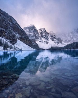 Image post by @theryan_reynolds on Instagram