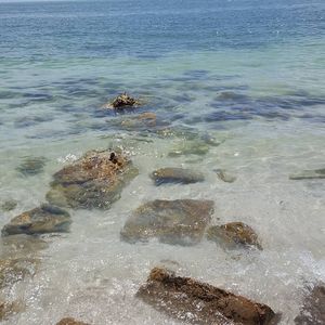 Image post by @visitsarasotacounty on Instagram