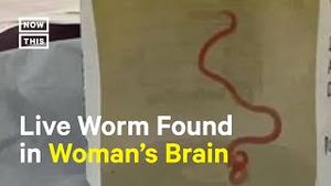 Video post by @nowthisnews on YouTube