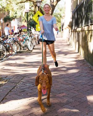 Image post by @collegeofcharleston on Instagram