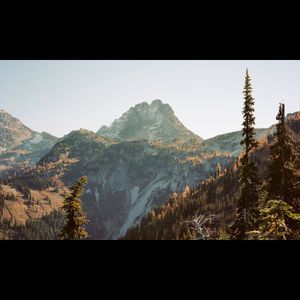Image post by @lostfoxcreative on Instagram