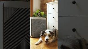 Video post by @samsungus on YouTube