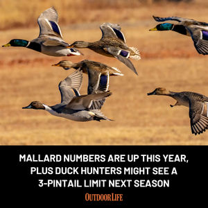 Image post by @outdoor_life on Instagram
