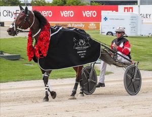 Image post by @nzhorseambulancetrust on Facebook