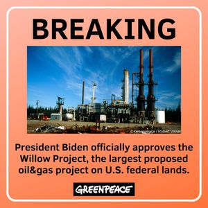 Image post by @greenpeaceusa on Instagram
