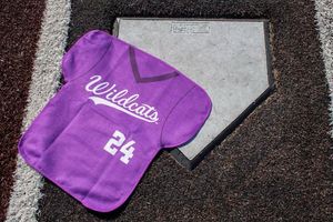 Image post by @acu_baseball on Instagram
