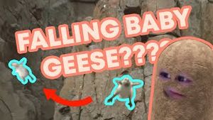 Video post by @artisanpapaya on YouTube