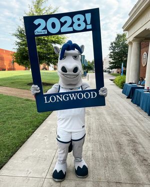 Image post by @longwoodpeermentors on Instagram